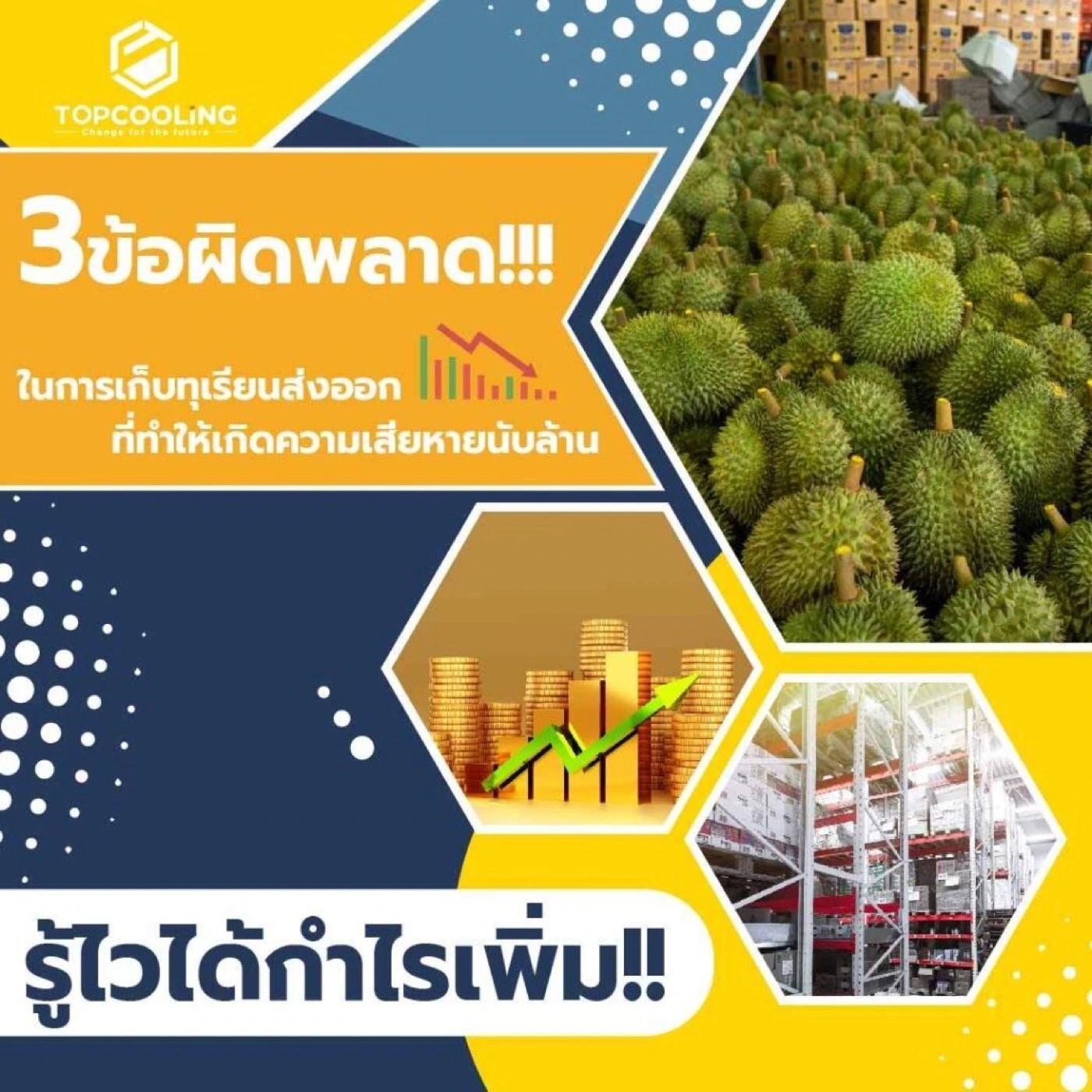 3 ข้อผิดพลาด ในการเก็บทุเรียนส่งออก